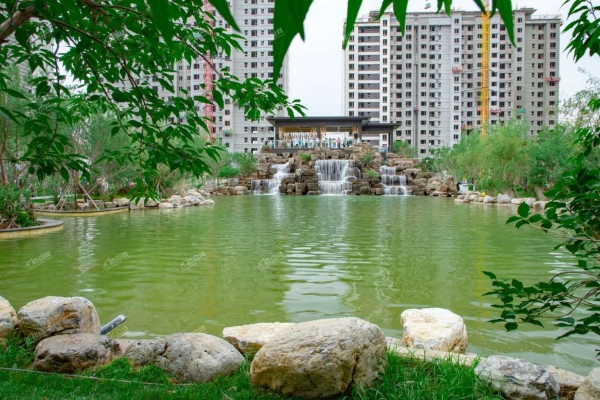 赤峰丹龍房產(chǎn)證辦理電話號碼-第1張圖片