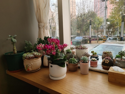 赤峰小資咖啡館電話多少號(hào)-第1張圖片