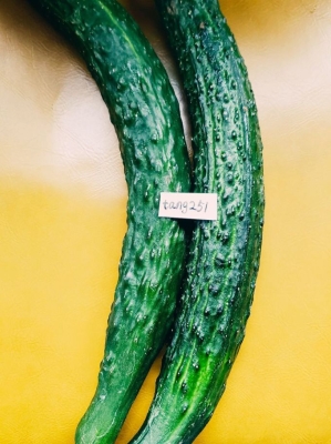 赤峰市區(qū)蔬菜包裝廠電話號(hào)碼-第1張圖片