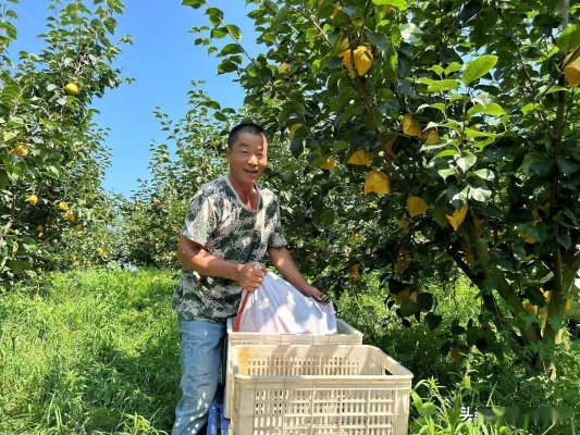 赤峰市梨園采摘基地電話號(hào)碼-第1張圖片