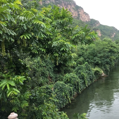 赤峰錦山巴士涮肉坊電話號碼-第1張圖片