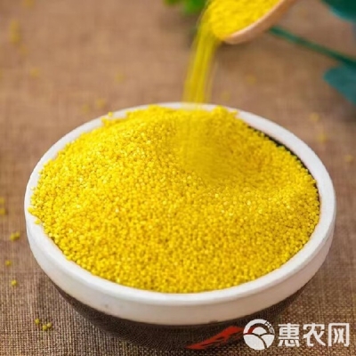 赤峰小米批發(fā)多少錢-第1張圖片