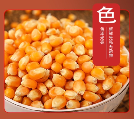 赤峰爆米花玉米粒批發(fā)電話號碼-第1張圖片