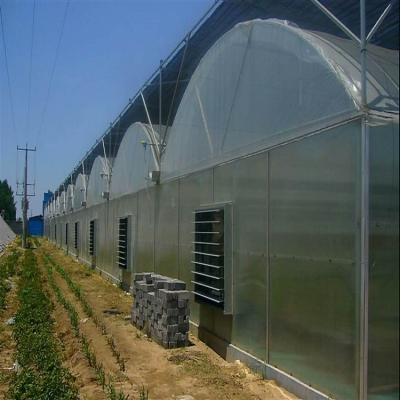 赤峰連棟大棚管理處電話號(hào)碼-第1張圖片