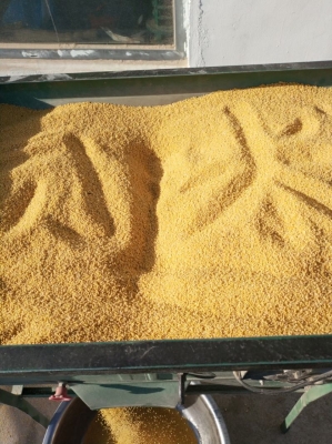 赤峰禮品袋公司電話(huà)號(hào)碼查詢(xún)-第1張圖片