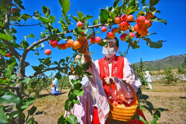 赤峰市八棱海棠社區(qū)電話號碼-第1張圖片