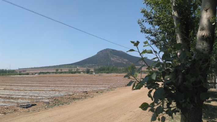 赤峰吳丹鎮(zhèn)寵物店電話號碼-第1張圖片