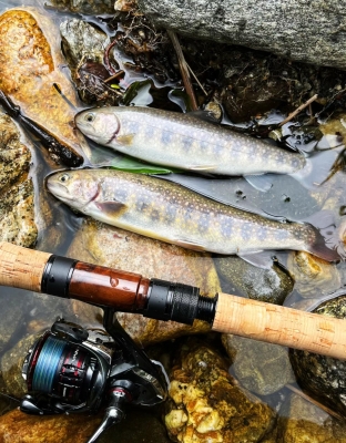 赤峰市溪流魚(yú)館電話(huà)地址查詢(xún)-第1張圖片