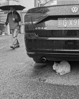 洛陽到赤峰私家車群電話號碼-第1張圖片