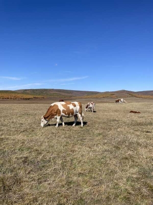 赤峰四中李國汪電話號(hào)碼-第1張圖片