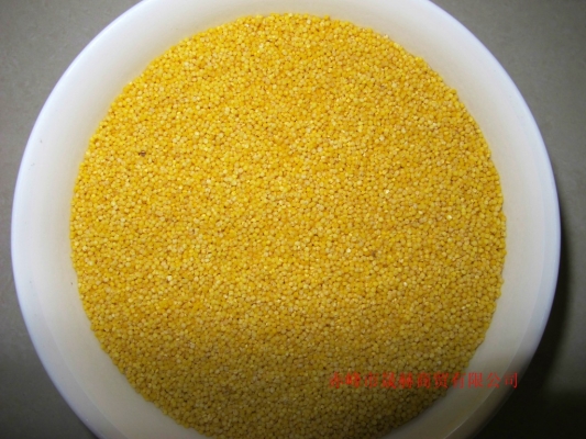 赤峰優(yōu)質(zhì)甘油廠家電話地址查詢-第1張圖片