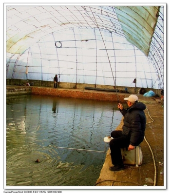 赤峰冰釣大棚出租電話(huà)號(hào)碼是多少-第1張圖片