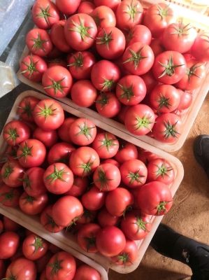 赤峰大廟粉果店電話號碼查詢-第1張圖片