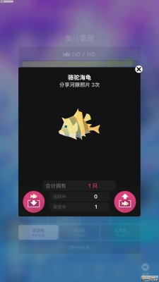 赤峰魚(yú)中魚(yú)水族館電話地址-第1張圖片