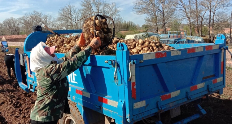 赤峰新開(kāi)地鄉(xiāng)林業(yè)局電話(huà)號(hào)碼-第1張圖片