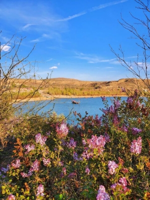 赤峰老哈河黑魚(yú)館電話(huà)號(hào)碼多少-第1張圖片