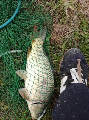 赤峰壩下漁村電話號碼查詢是多少-第1張圖片