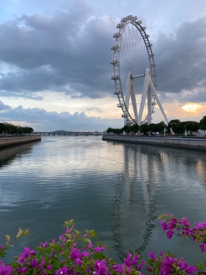 赤峰摩天輪票務(wù)電話號(hào)碼查詢-第1張圖片