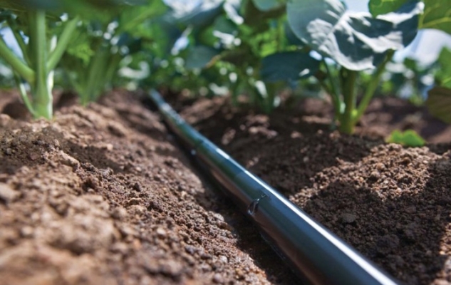 赤峰滴灌管廠家電話號碼查詢-第1張圖片