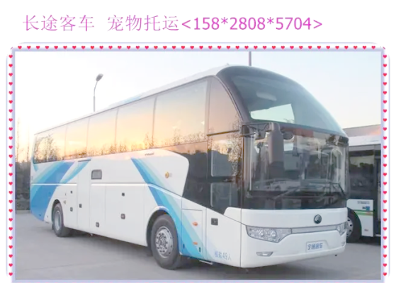 赤峰到銀川大巴車電話號碼是多少-第1張圖片