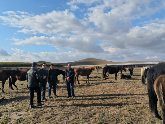 赤峰市衛(wèi)生規(guī)劃局電話號碼-第1張圖片
