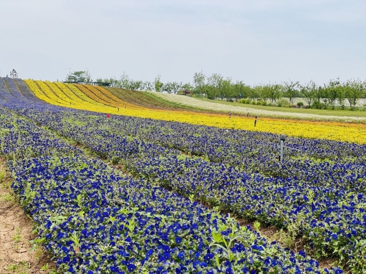 赤峰熱水鎮(zhèn)露營地點(diǎn)電話號碼-第1張圖片
