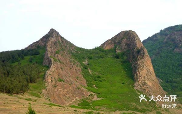 赤峰林木購銷公司電話是多少號(hào)-第1張圖片