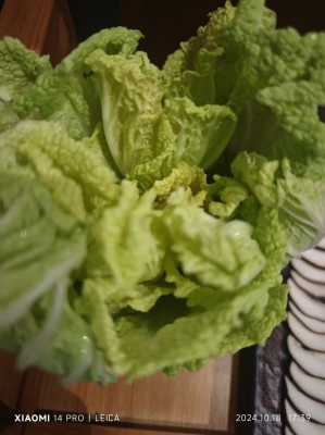 赤峰烤鴿子店電話地址是多少號(hào)-第1張圖片