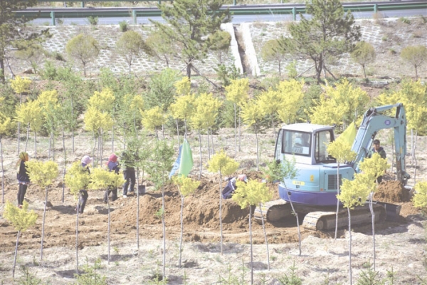 赤峰綠衣回收公司地址電話號(hào)碼-第1張圖片