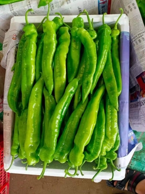 赤峰豫菜團(tuán)購(gòu)平臺(tái)電話號(hào)碼-第1張圖片