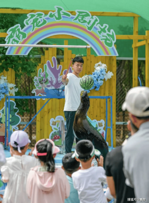 赤峰荊棘萌寵樂園電話號碼查詢-第1張圖片