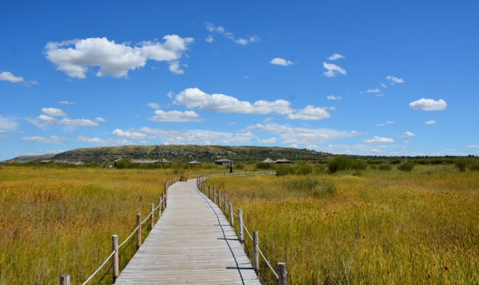 赤峰天意療養(yǎng)院電話多少號-第1張圖片