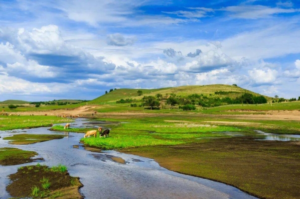 赤峰市遠(yuǎn)方賓館電話號(hào)碼多少-第1張圖片