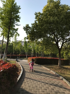 赤峰路59弄居委會(huì)電話號碼-第1張圖片