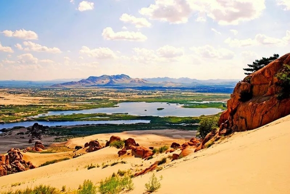 赤峰駱駝專賣店聯(lián)系電話號碼-第1張圖片