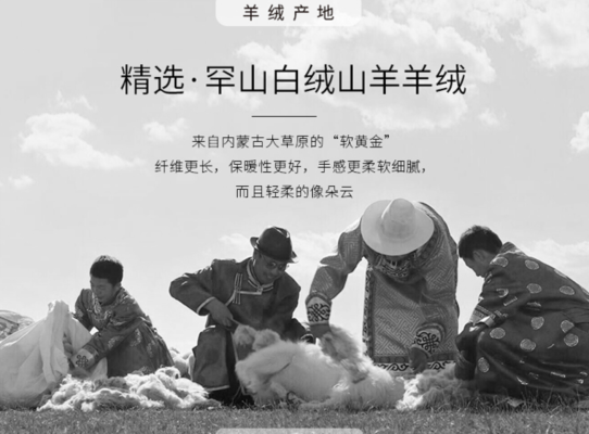 赤峰鑫鑫羊絨衫店電話(huà)號(hào)碼-第1張圖片