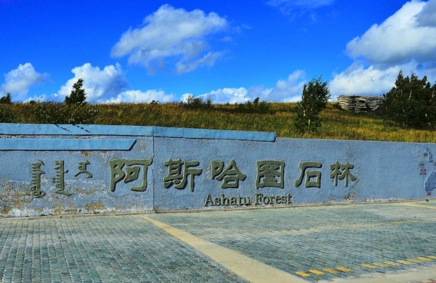 赤峰阿旗網(wǎng)約車公司電話號(hào)碼-第1張圖片