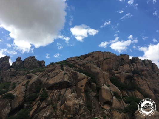 赤峰到克旗網約車電話是多少-第1張圖片