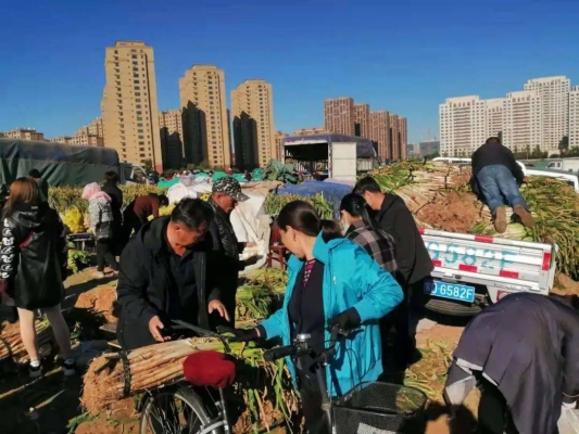 赤峰松山區(qū)城管舉報(bào)電話是多少-第1張圖片