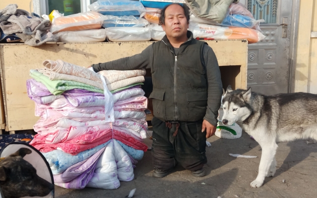 赤峰流浪狗救助站電話號碼-第1張圖片