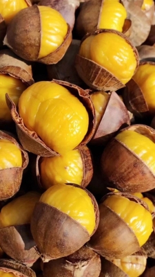 赤峰開(kāi)口栗子批發(fā)電話號(hào)碼查詢(xún)-第1張圖片