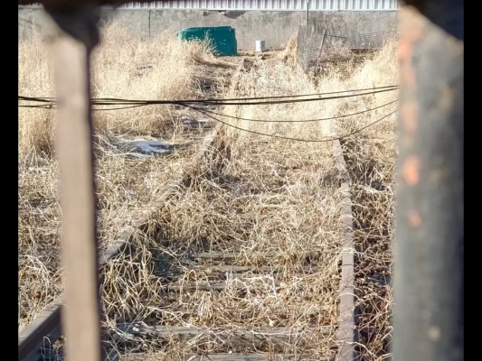 赤峰北道糧庫(kù)電話多少號(hào)碼-第1張圖片