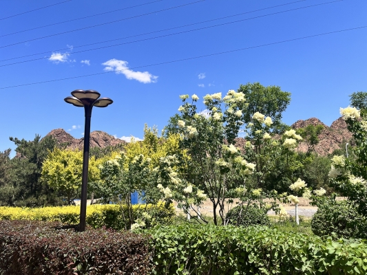 赤峰仿真花圈批發(fā)基地電話號碼-第1張圖片