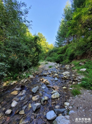 赤峰市天山鎮(zhèn)天水社區(qū)電話號碼-第1張圖片