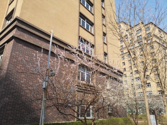 赤峰麗水河畔足療電話號(hào)碼查詢-第1張圖片