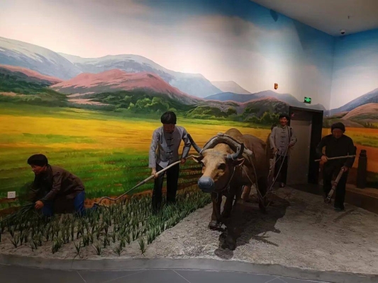 赤峰林西糧食局局長電話號碼-第1張圖片