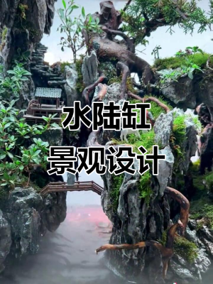 赤峰水陸缸造景定制電話號(hào)碼-第1張圖片