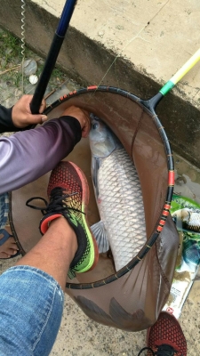 赤峰魚樂圈垂釣基地電話號碼-第1張圖片