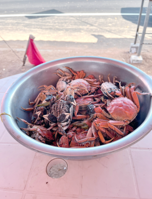 赤峰到徐州網(wǎng)約車電話號碼-第1張圖片