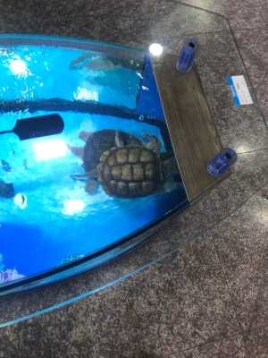 赤峰花卉市場(chǎng)水族館電話號(hào)碼-第1張圖片